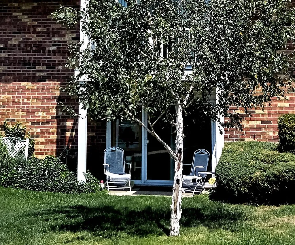 Holland Apartments — Photo 4