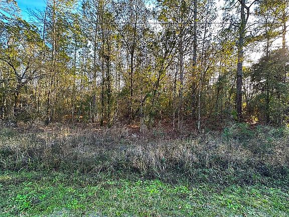 2nd image of Lot 428 DIVISION STREET LOT 428