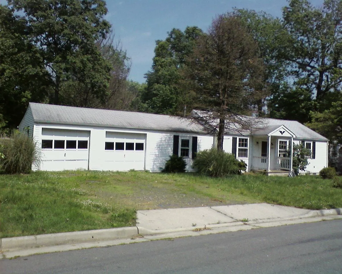 1 bed, $1,100 — Photo 4