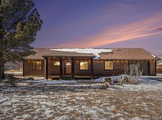 55 Burke St, Bailey, CO 80421