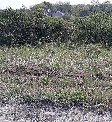 1st image of Lakeview Dr
