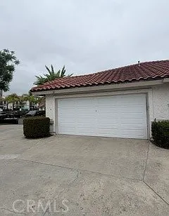 25 Palmera — Photo 31