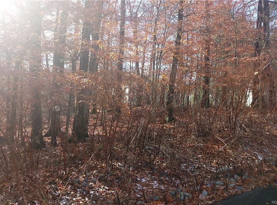 1st image of Laurel Ave