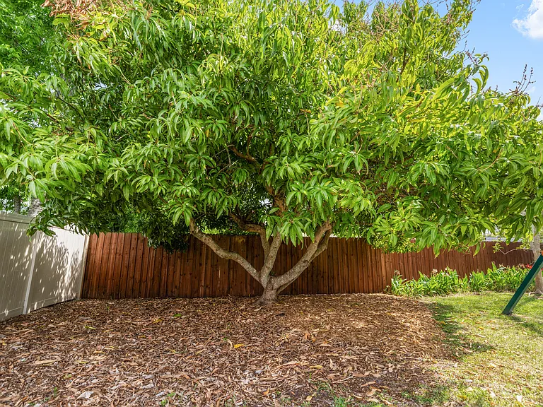 4923 Shetland Ave — Photo 29