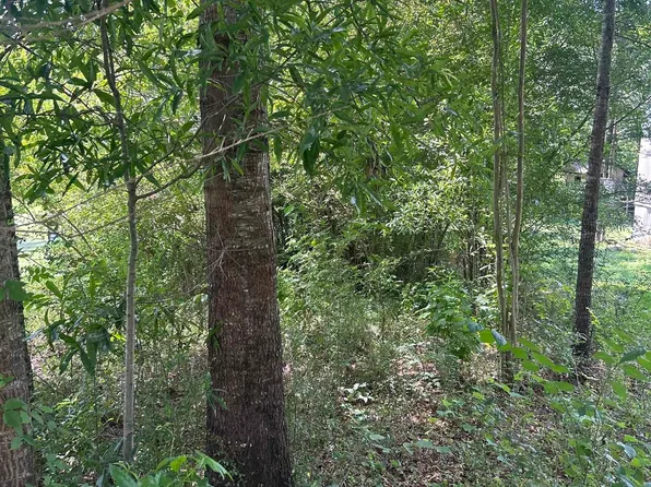 0 Limbaugh Rd #0, Sylacauga, AL 35150