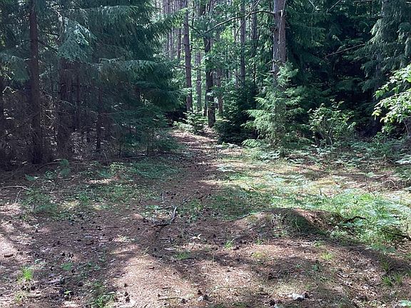 5th image of 0 N Echo Lake Rd E