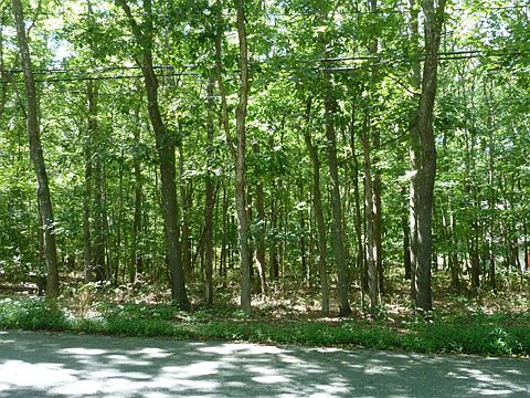 1st image of Lot 9 High Hill Road