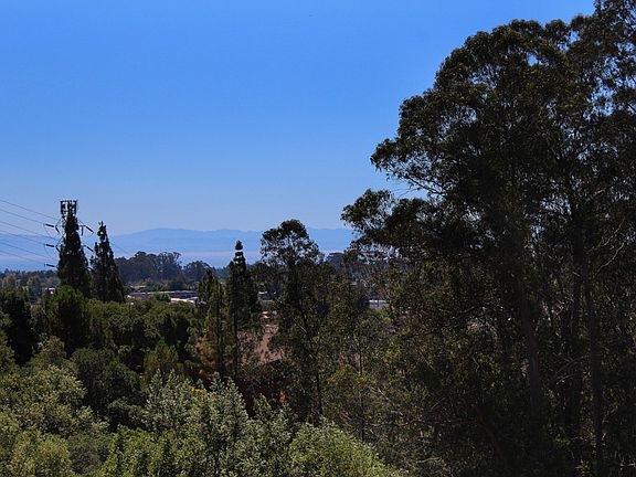 4th image of 48 Lupine Ln