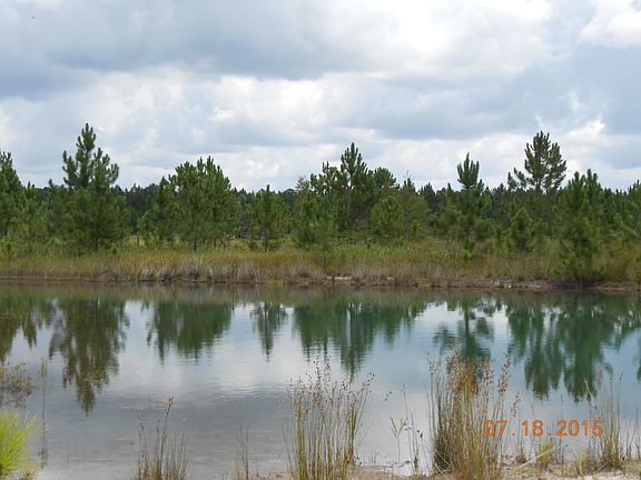 Pond on property