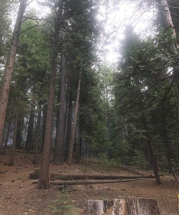 2nd image of 2900 Snowshoe Thompson Trl
