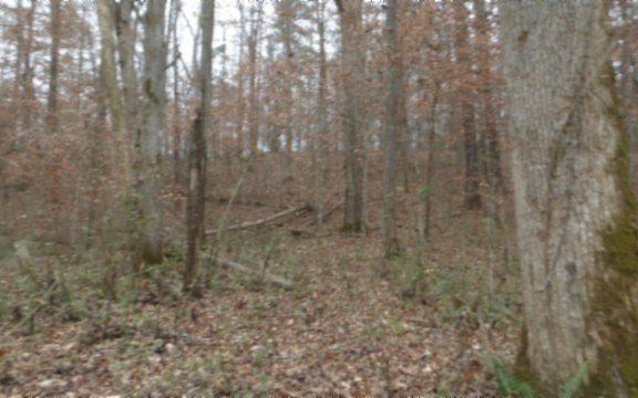 5th image of 761 Petit Ln