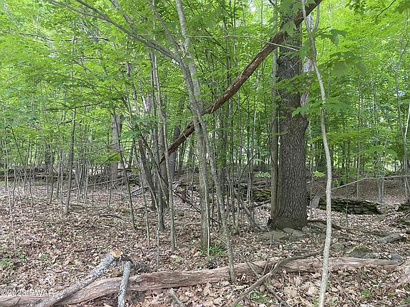 3rd image of 131 Hidden Valley Dr