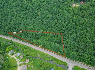0 Route 70 #7, Swain, NY 14884
