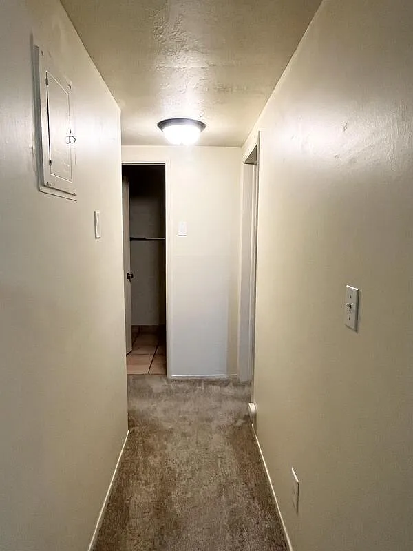 2 bed, 1.0 bath, 800 sqft, $1,045 — Photo 4