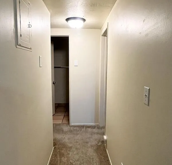599 N Darwin St #9 — Photo 6