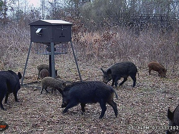 3rd image of County Road 2339