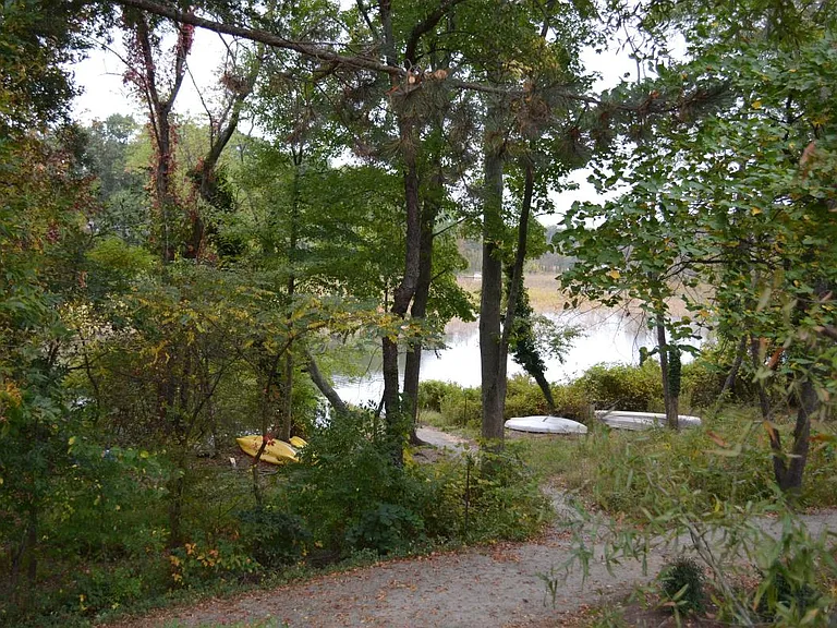 Nature trail behind house. Easy access for kayaking/canoeing.