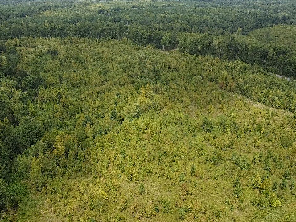 1st image of 1265 Old Highway 18