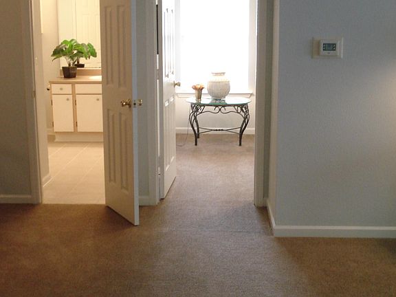 Living room entrance into bedroom and bathroom. Bedroom has windows with blinds. Carpet in LR and BR. Walls are painted a pale blue with white trim.