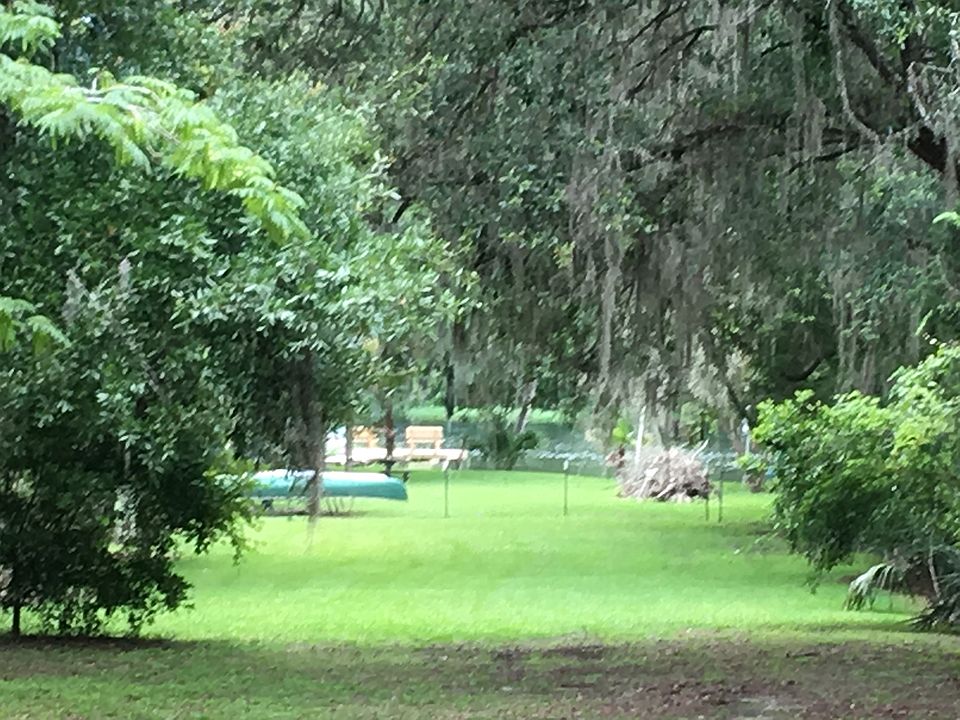 View of river from the house