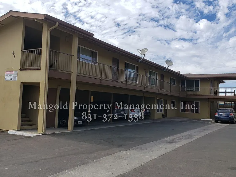 255four — Photo 14