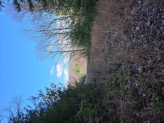 5th image of 10 The Overlook #At