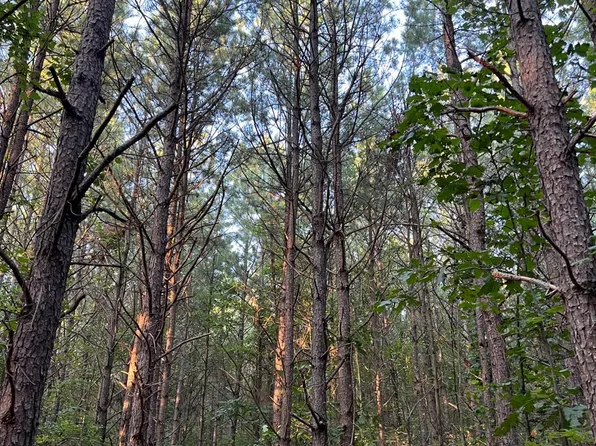 0 State Route 278 NE, Nelsonville, OH 45764