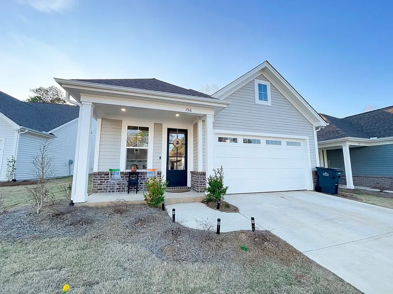 736 Turkey Oak Cv — Photo 1