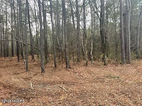 1st image of 1087 Loblolly Drive
