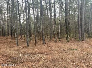 1087 Loblolly Dr, Vass, NC 28394