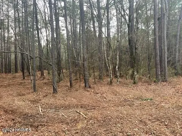 1087 Loblolly Drive, Vass, NC 28394