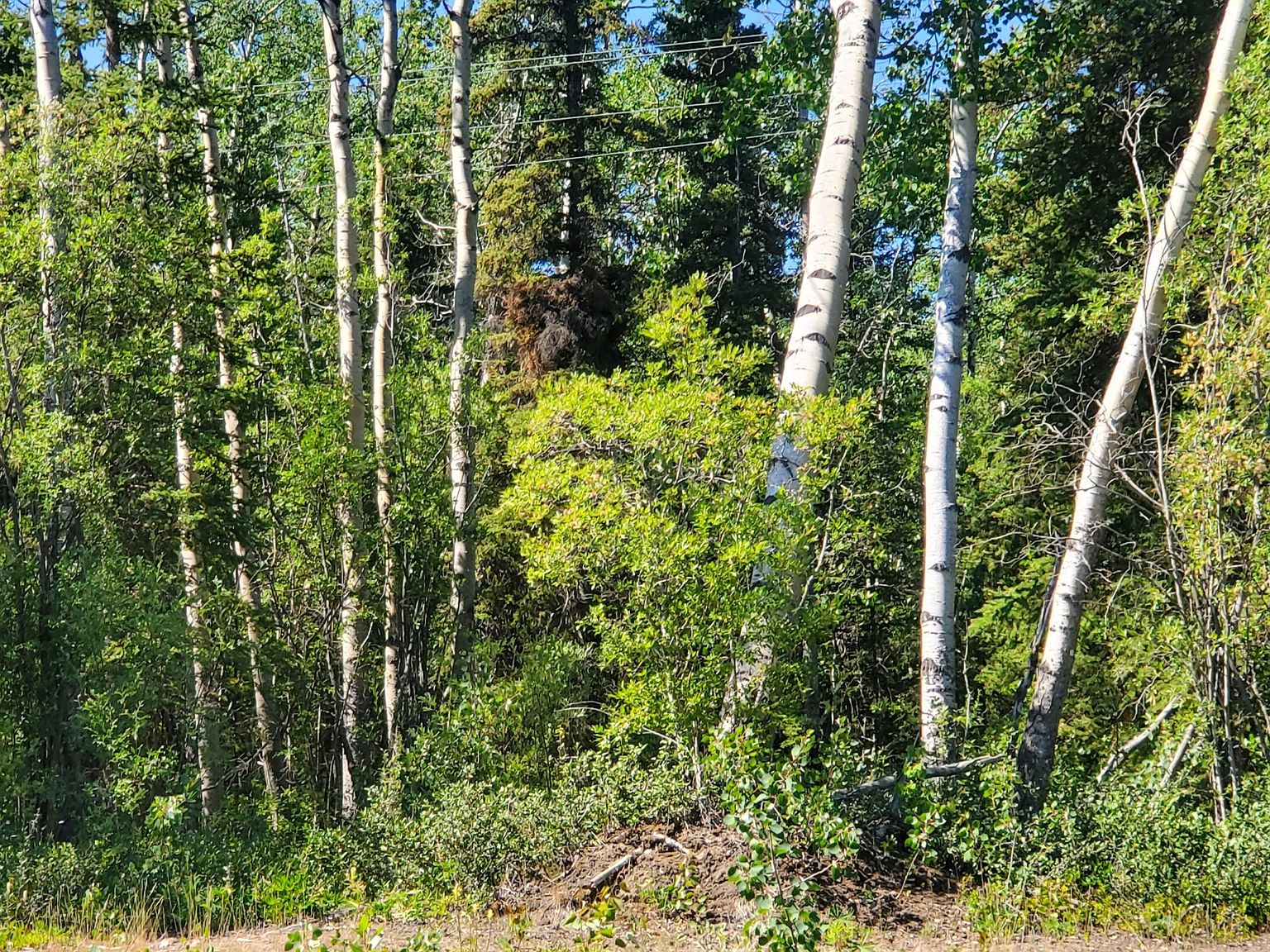 Mile 91.5 Richardson Hwy, Copper Center, AK 99573 Zillow