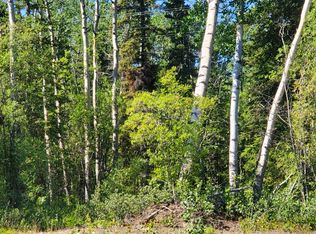 Mile 91.5 Richardson Hwy, Copper Center, AK 99573