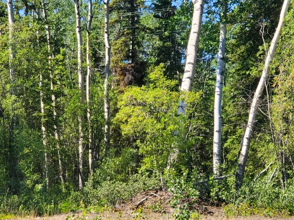 Mile 91.5 Richardson Hwy, Copper Center, AK 99573