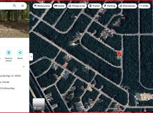 9200 N Rhine Way, Citrus Springs, FL 34434