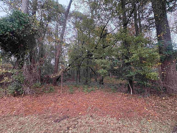 3rd image of Lot 34 Old Augusta Dr.