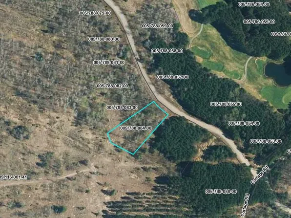 84-563 Fountains Dr, Lewiston, MI 49756