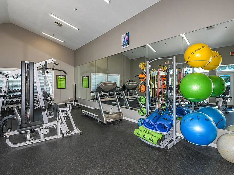 Fitness Center with Free Weights and Cardio