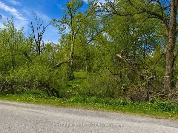 0 Maple Ridge Dr, Kawartha Lakes, ON K0L 2W0