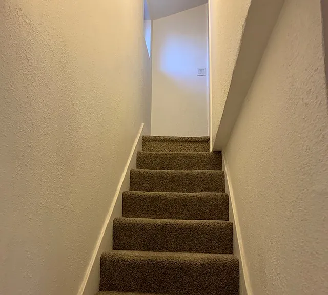 3541 Ray St — Photo 4