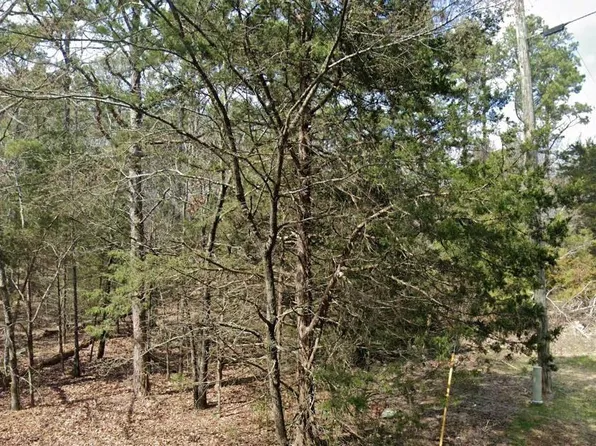 LOT 29 Genie Ln, Edgemont, AR 72044