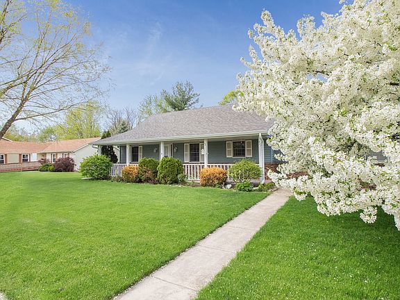 ~Beautiful mature trees~