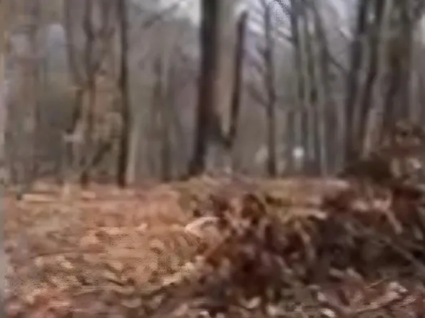 0 Coaling Rd #B, Troutville, VA 24175