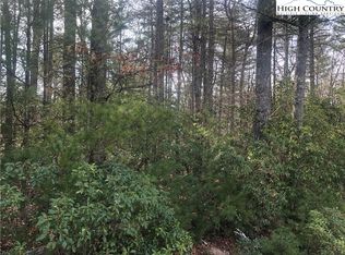 Painted Laurel Dr LOT 20, Jefferson, NC 28640
