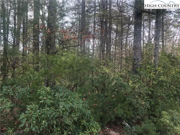 TBD Painted Laurel Lot 20 Drive, Jefferson, NC 28640