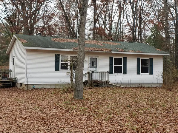 971 S Ransom Rd, White Cloud, MI 49349