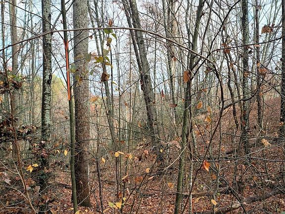 3rd image of 0 Oak Ct Lot 7