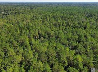 Golden St, Springfield, LA 70462