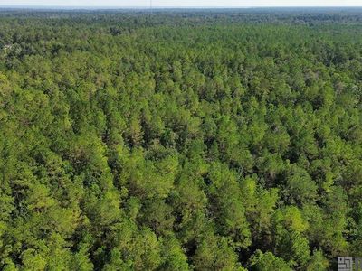 Golden St, Springfield, LA, 70462