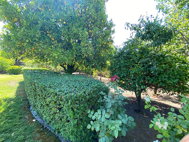 507 Walnut Ct — Photo 14